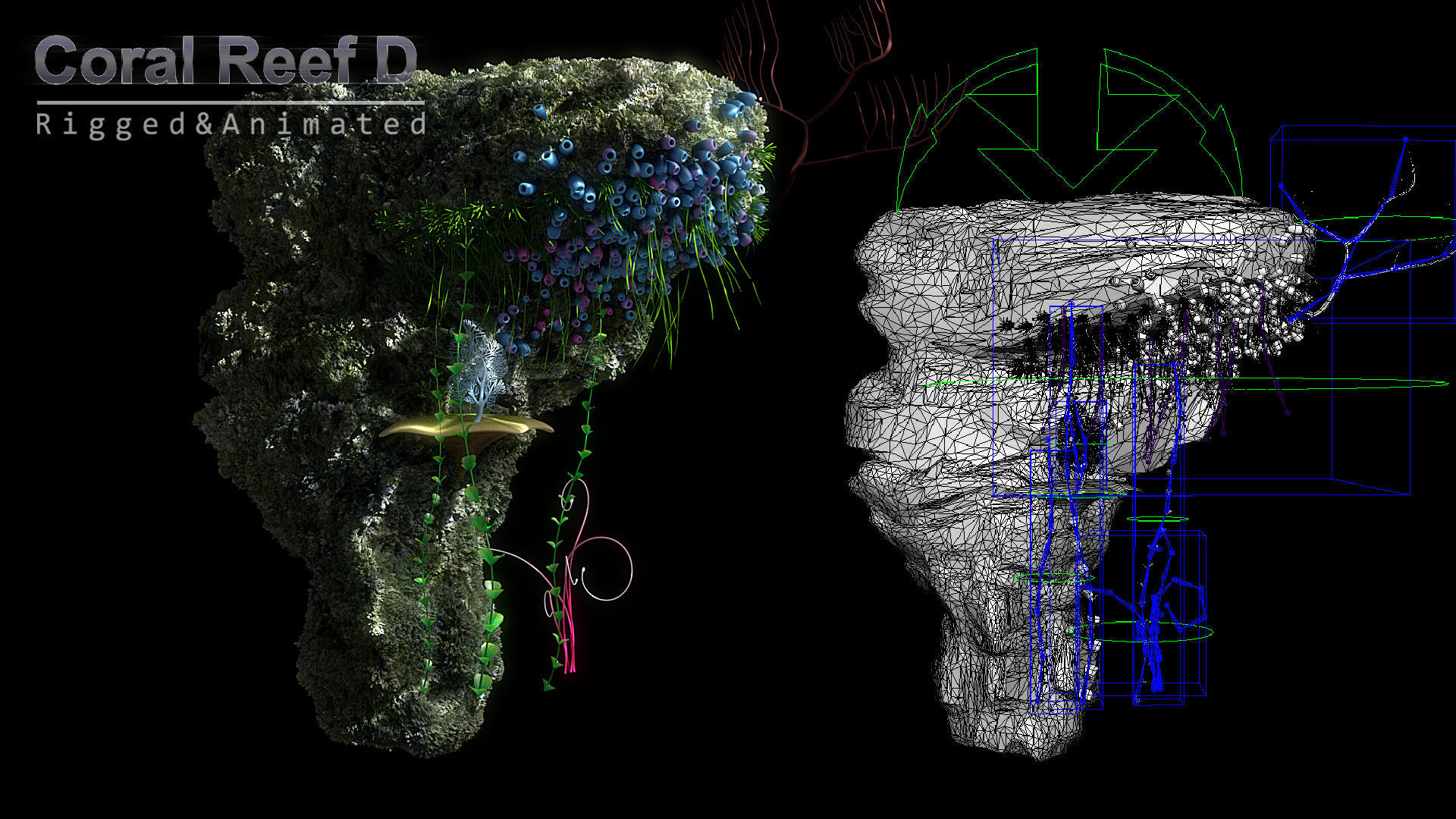 Cartoon Underwater Scene Rigged Animated Maya 3D model_8