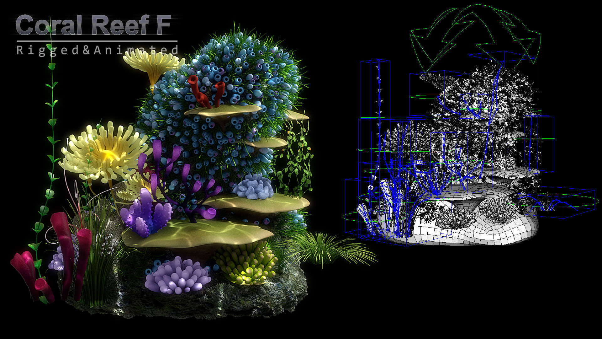 Cartoon Underwater Scene Rigged Animated Maya 3D model_10