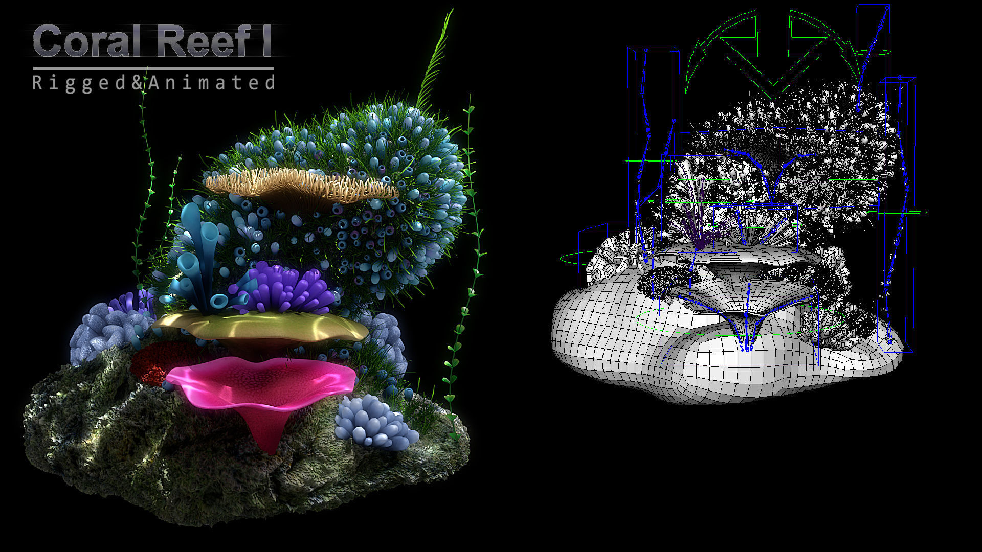 Cartoon Underwater Scene Rigged Animated Maya 3D model_13