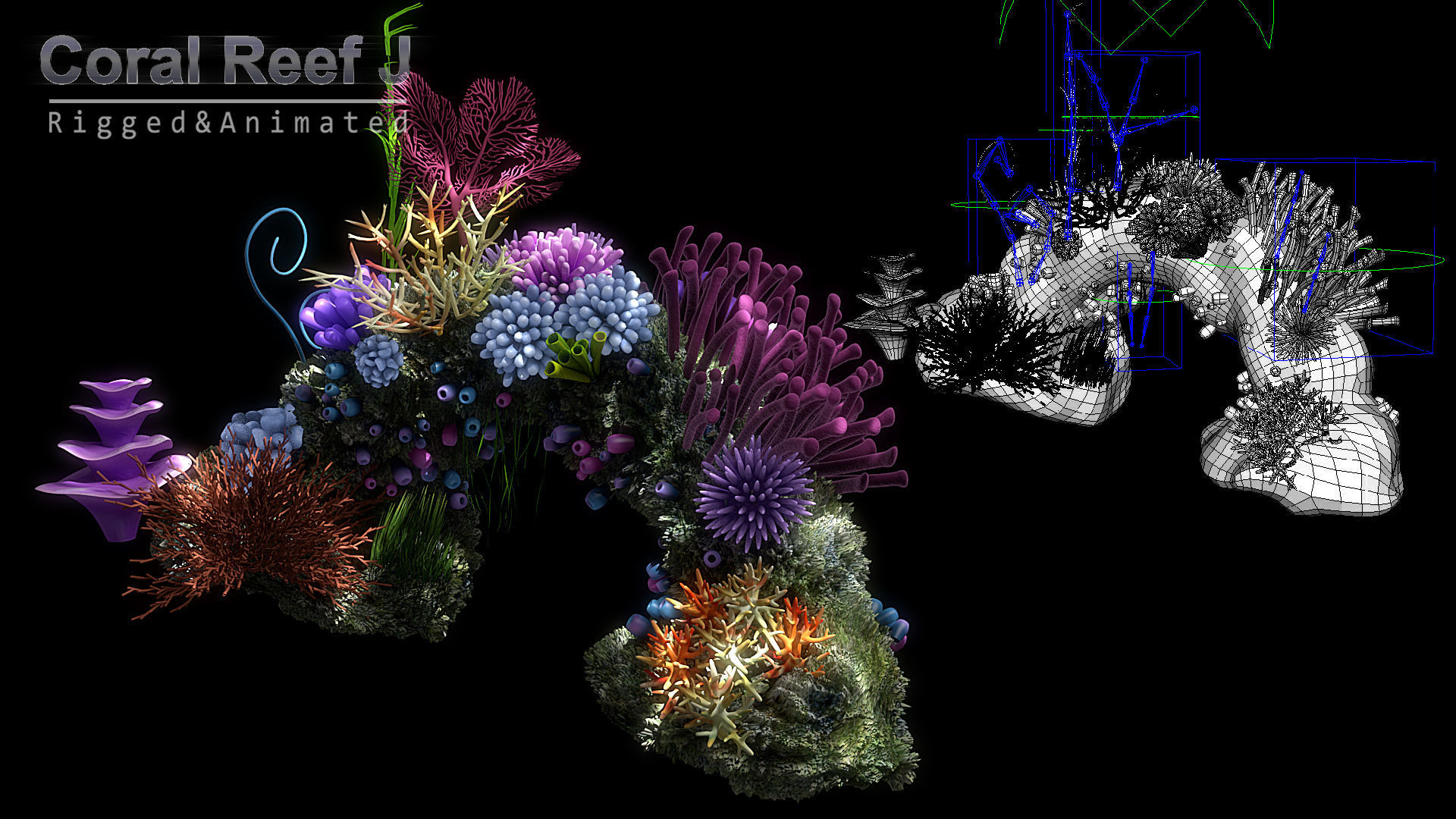 Cartoon Underwater Scene Rigged Animated Maya 3D model_14