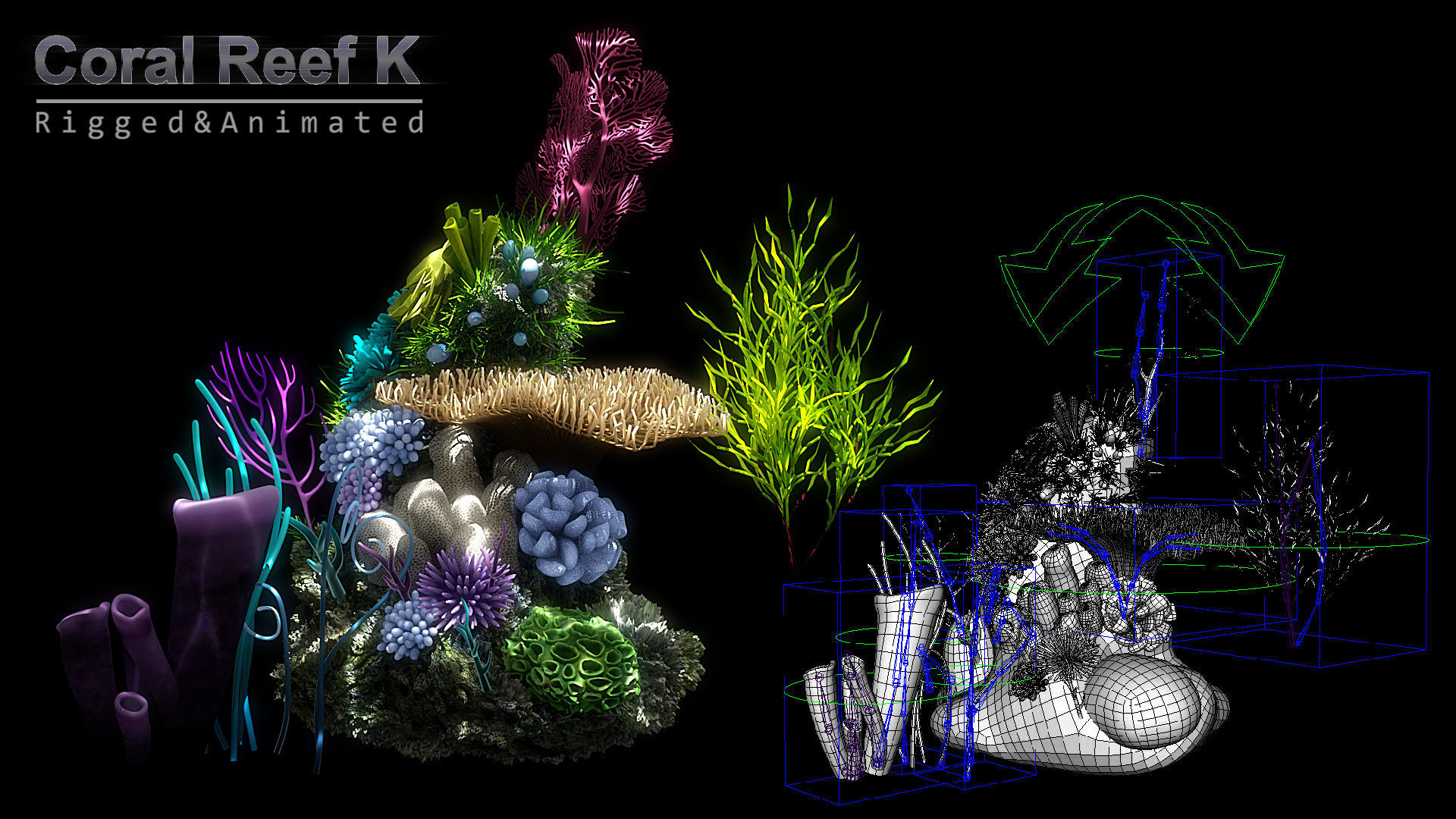 Cartoon Underwater Scene Rigged Animated Maya 3D model_15