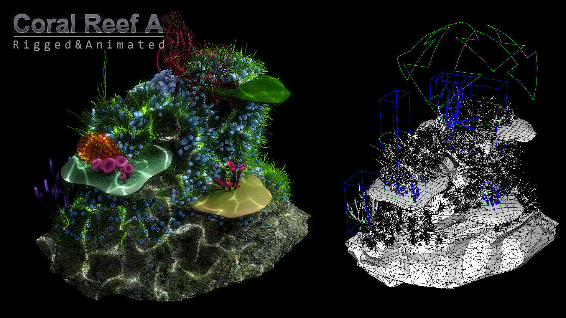 Cartoon Underwater Scene Rigged Animated Maya 3D model_5