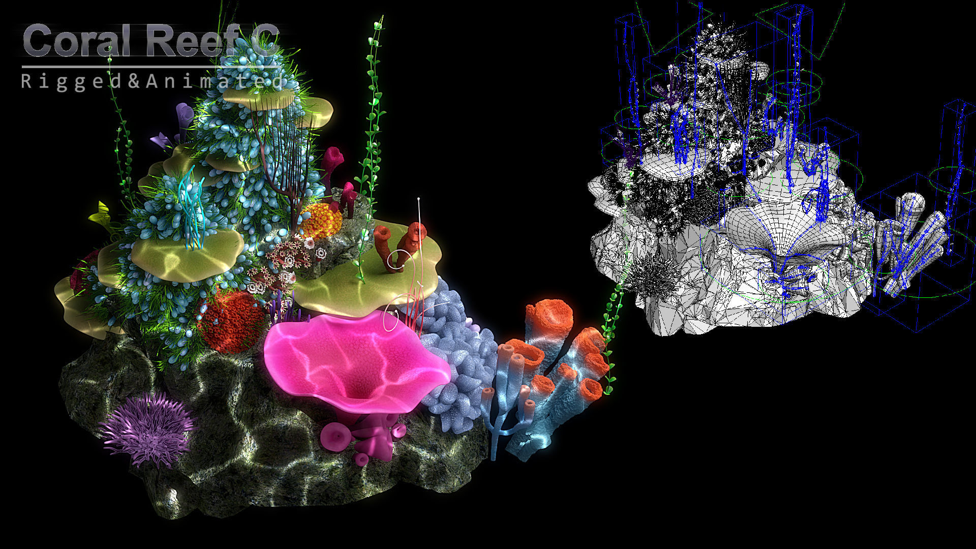 Cartoon Underwater Scene Rigged Animated Maya 3D model_7