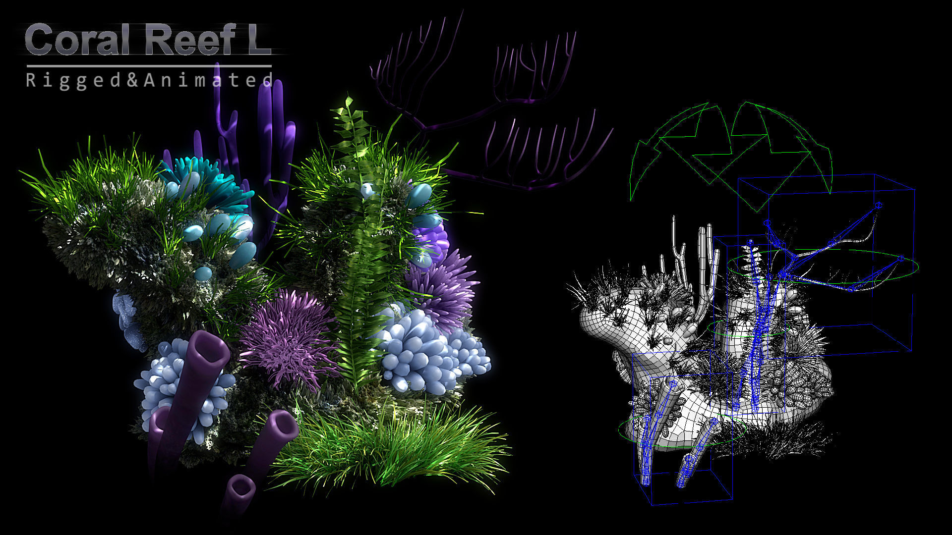 Cartoon Underwater Scene Rigged Animated Maya 3D model_16