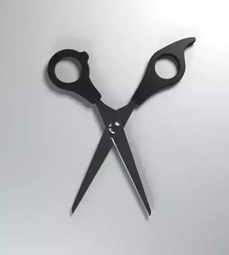 scissors pair of
