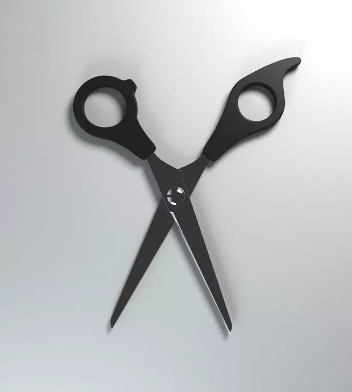 scissors pair of 3D model_0