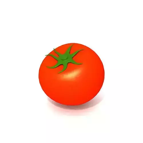 Tomato