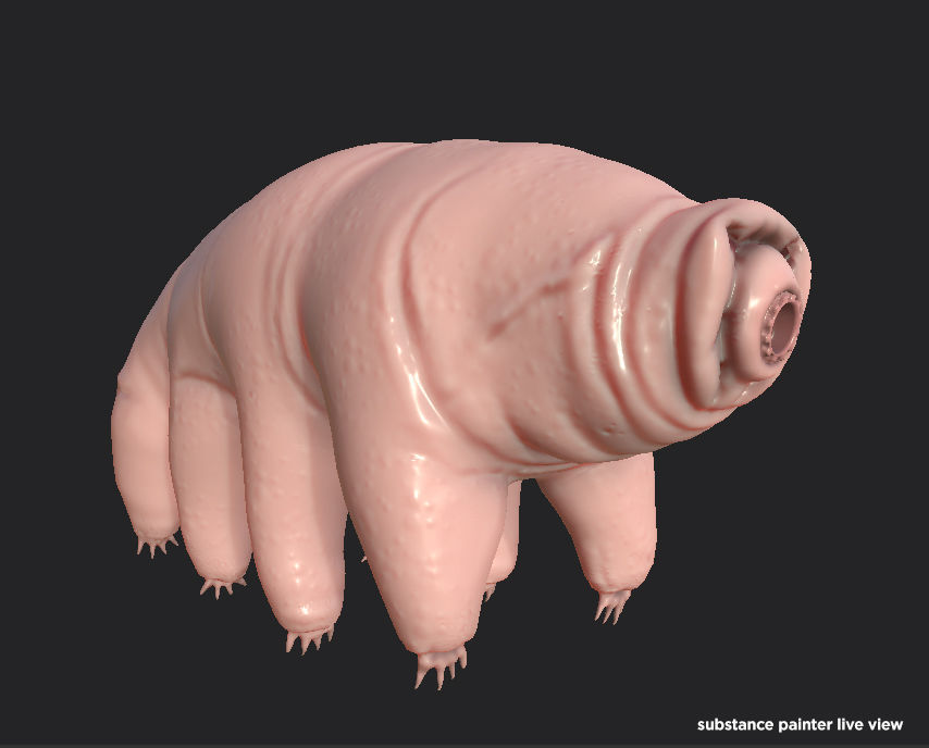 Tardigrade  Midpoly 3D model_8