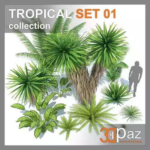 TROPICAL SET 01 3D model