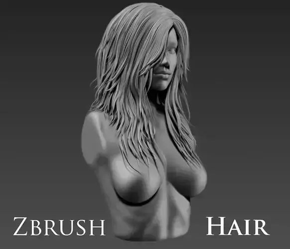 Hair Zbrush