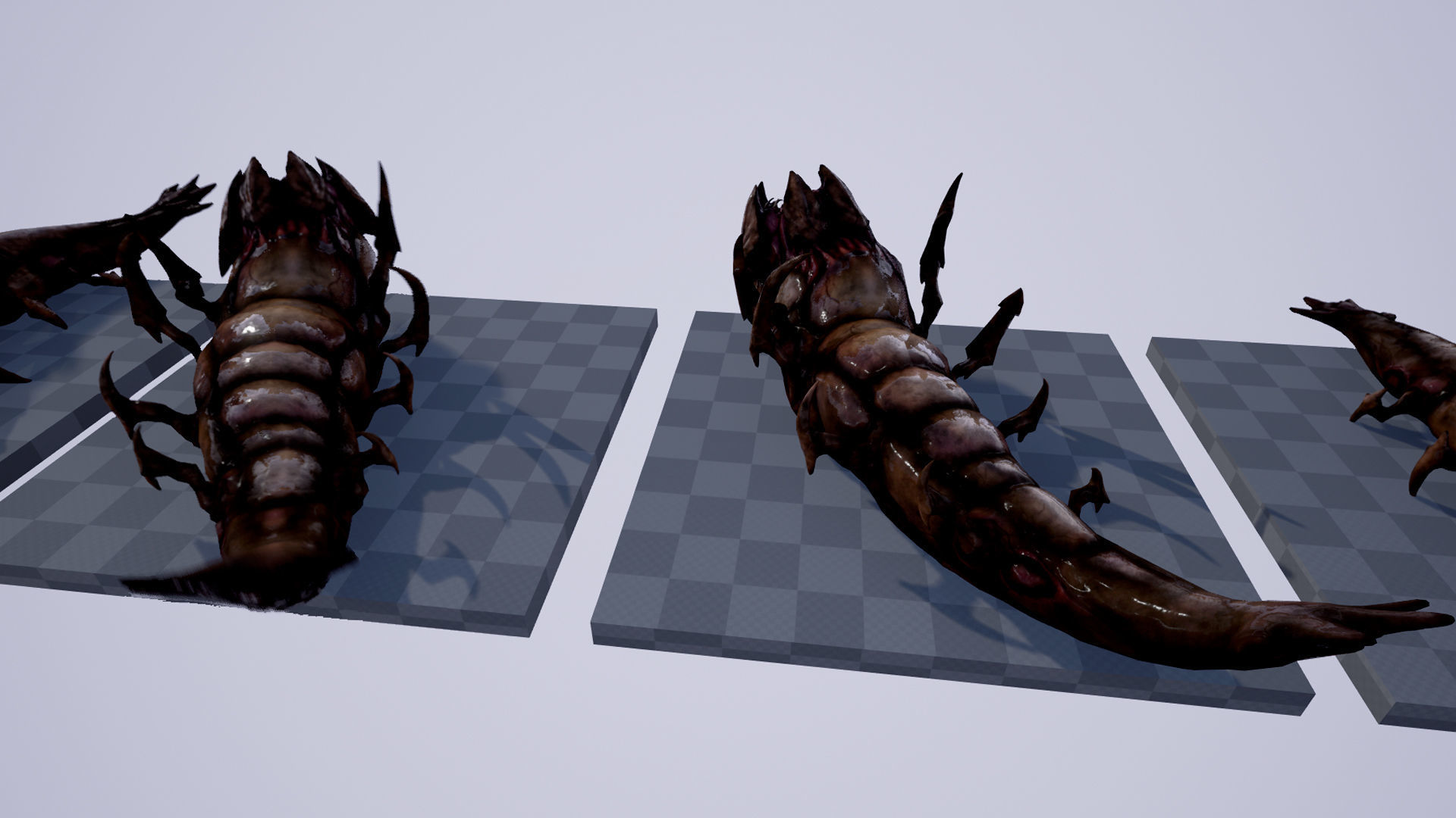 Worms insect Low-poly 3D model_11