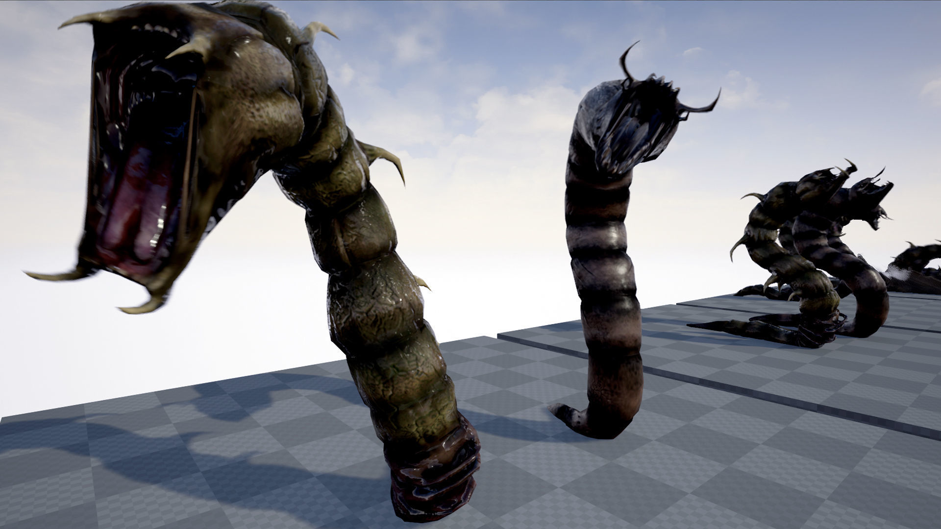 Worms insect Low-poly 3D model_13