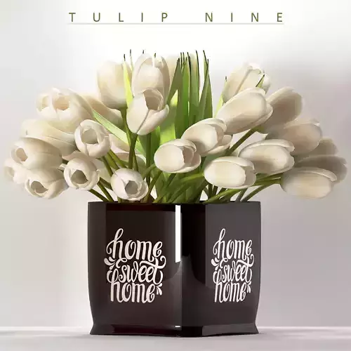 white tulip 9