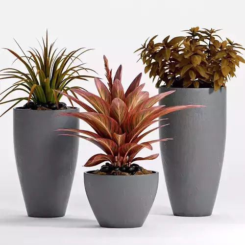 Decorative plant set-10