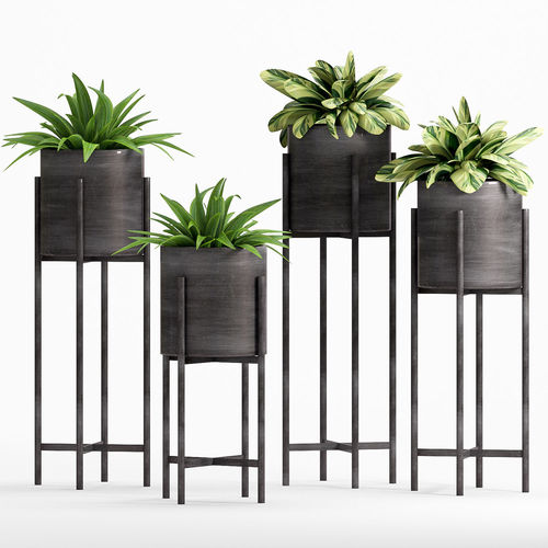 Decorative plant set-12 3D model