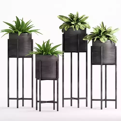 Decorative plant set-12