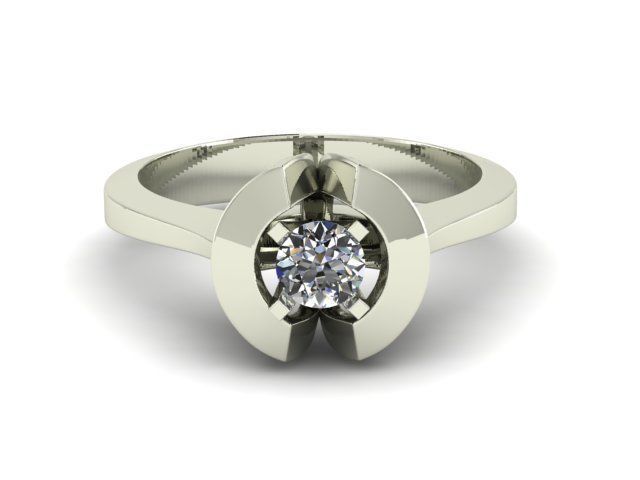 Ring R0503 3D print model_1