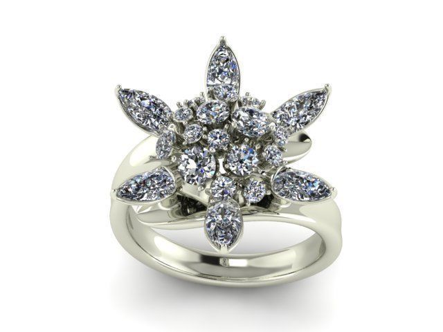 Ring R0508 3D print model_1