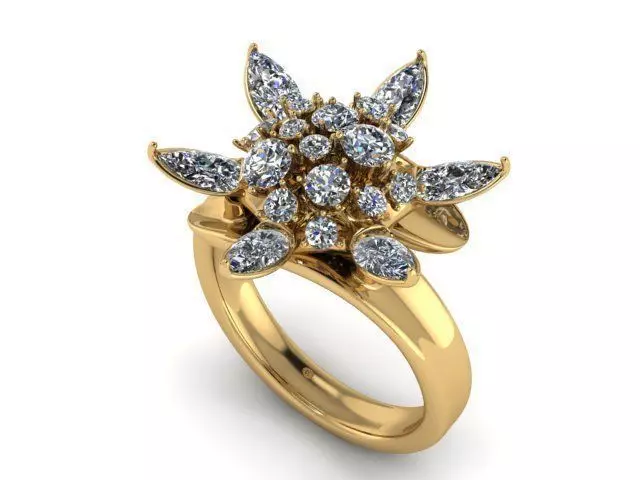 Ring R0508 3D print model_0