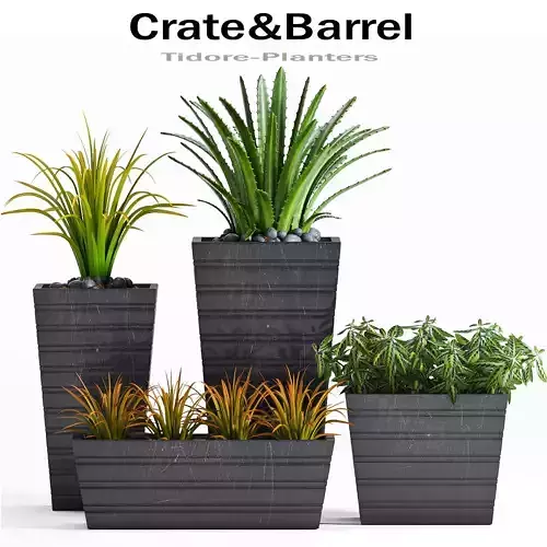 Decorative plant set-13