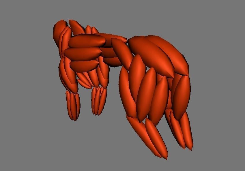 Muscle Rigged Tiger  3D model_11