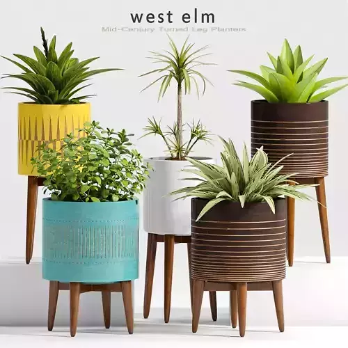 Decorative plant set-15
