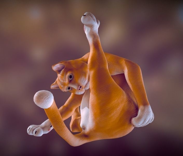 Licking Cat Free low-poly 3D model_1