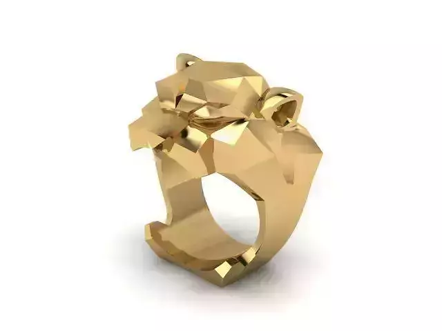 Ring R0521