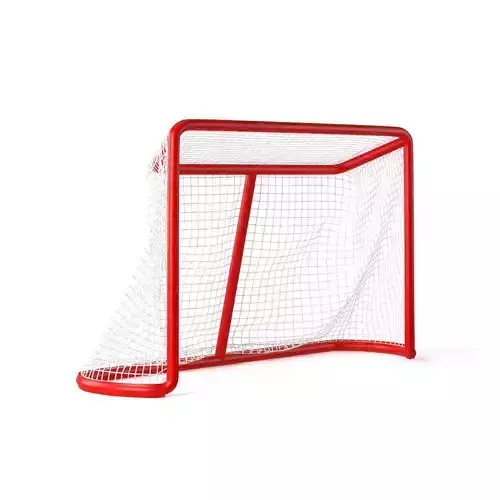 Hockey Goal Net