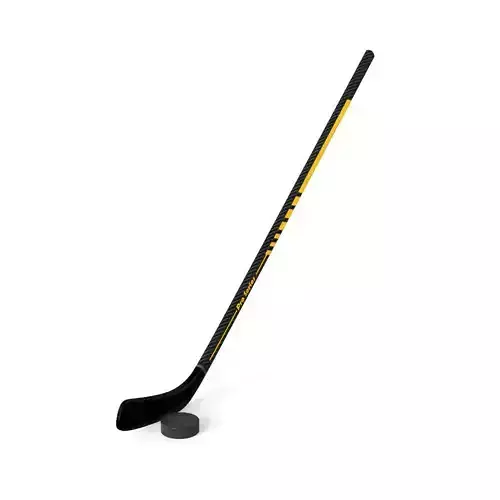 Hockey Stick and Puck