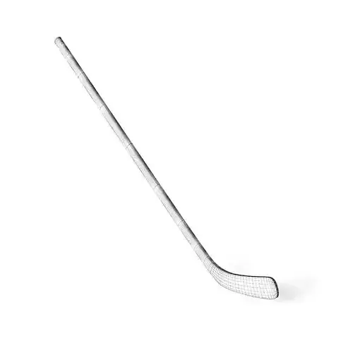 Hockey Stick and Puck