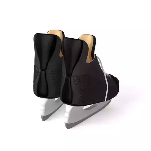 Skates pair of hockey