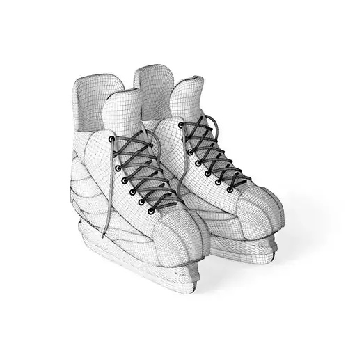 Skates pair of hockey