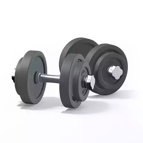 Dumbbells 3D model