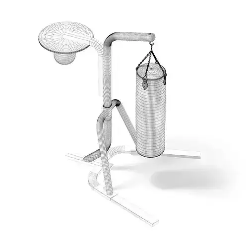 Punching Bag