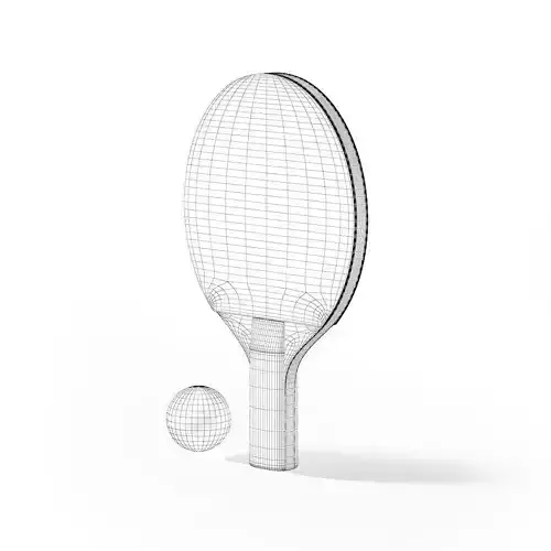 Table Tennis Racket and Ball