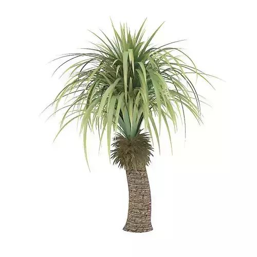 Small Palm Tree 3D model