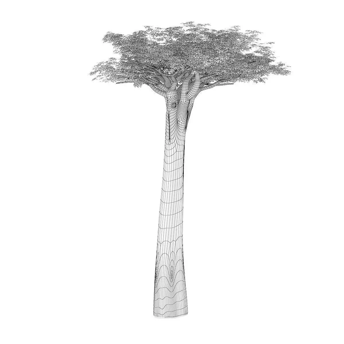 Baobab Tree 3D model_1