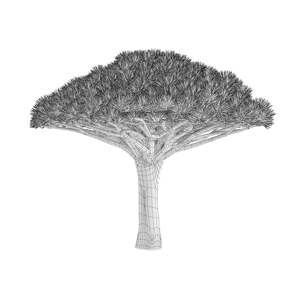 Dragon Tree 3D model_3