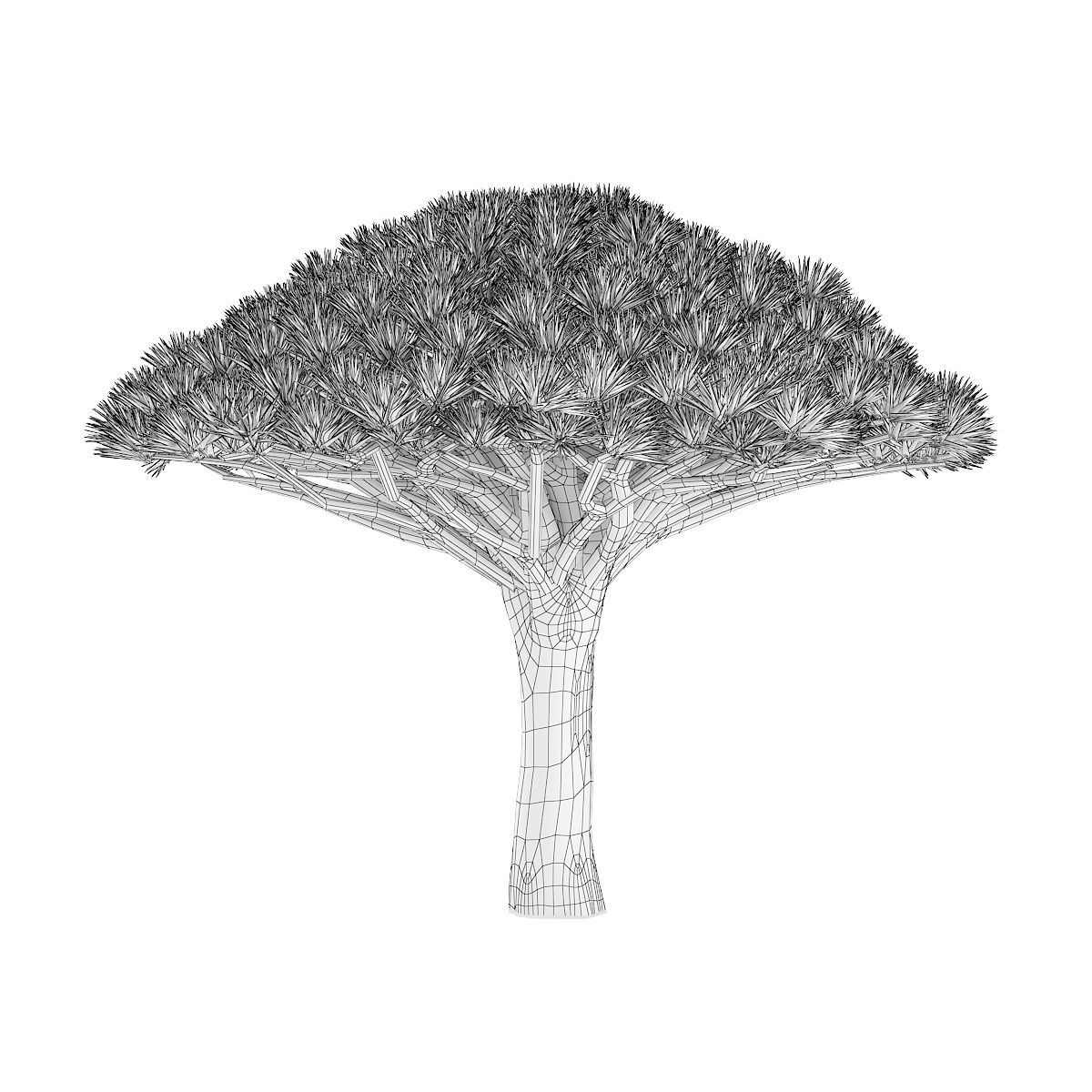 Dragon Tree 3D model_6