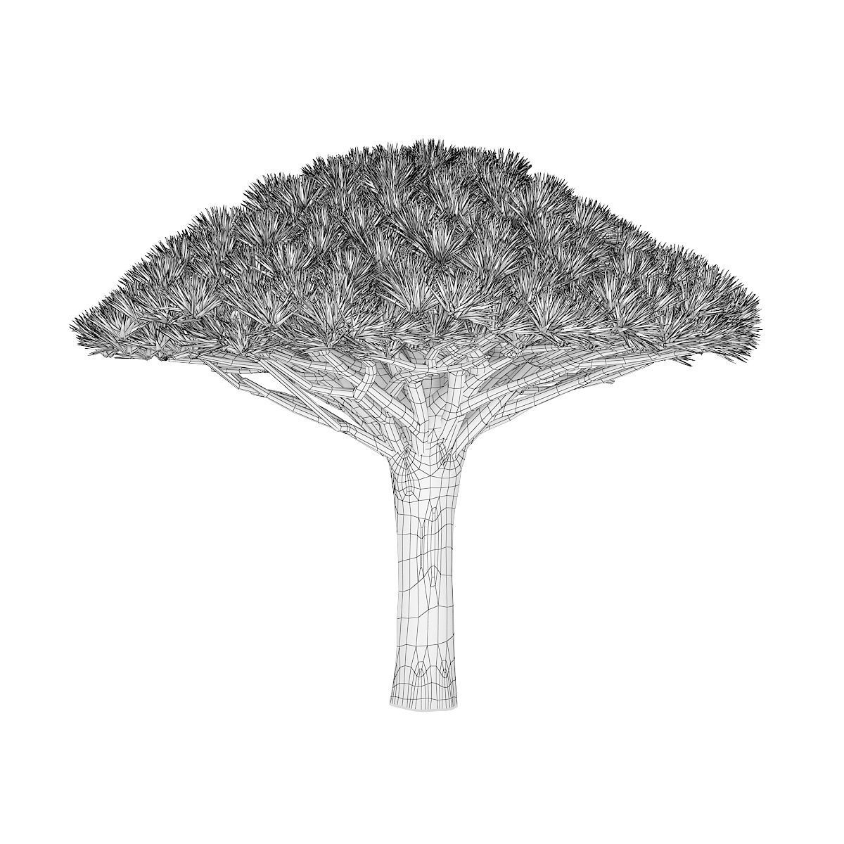 Dragon Tree 3D model_4
