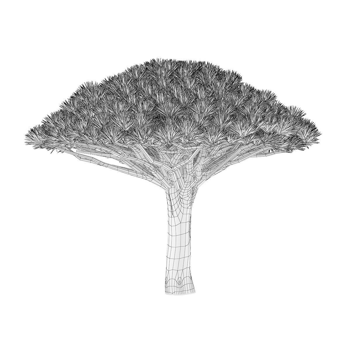 Dragon Tree 3D model_5