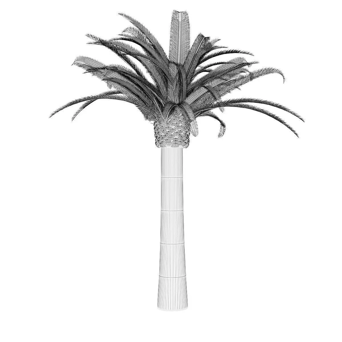 Pineapple Palm 3D model_2