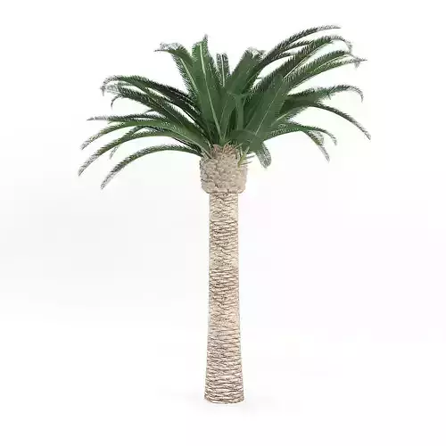 Pineapple Palm 3D model
