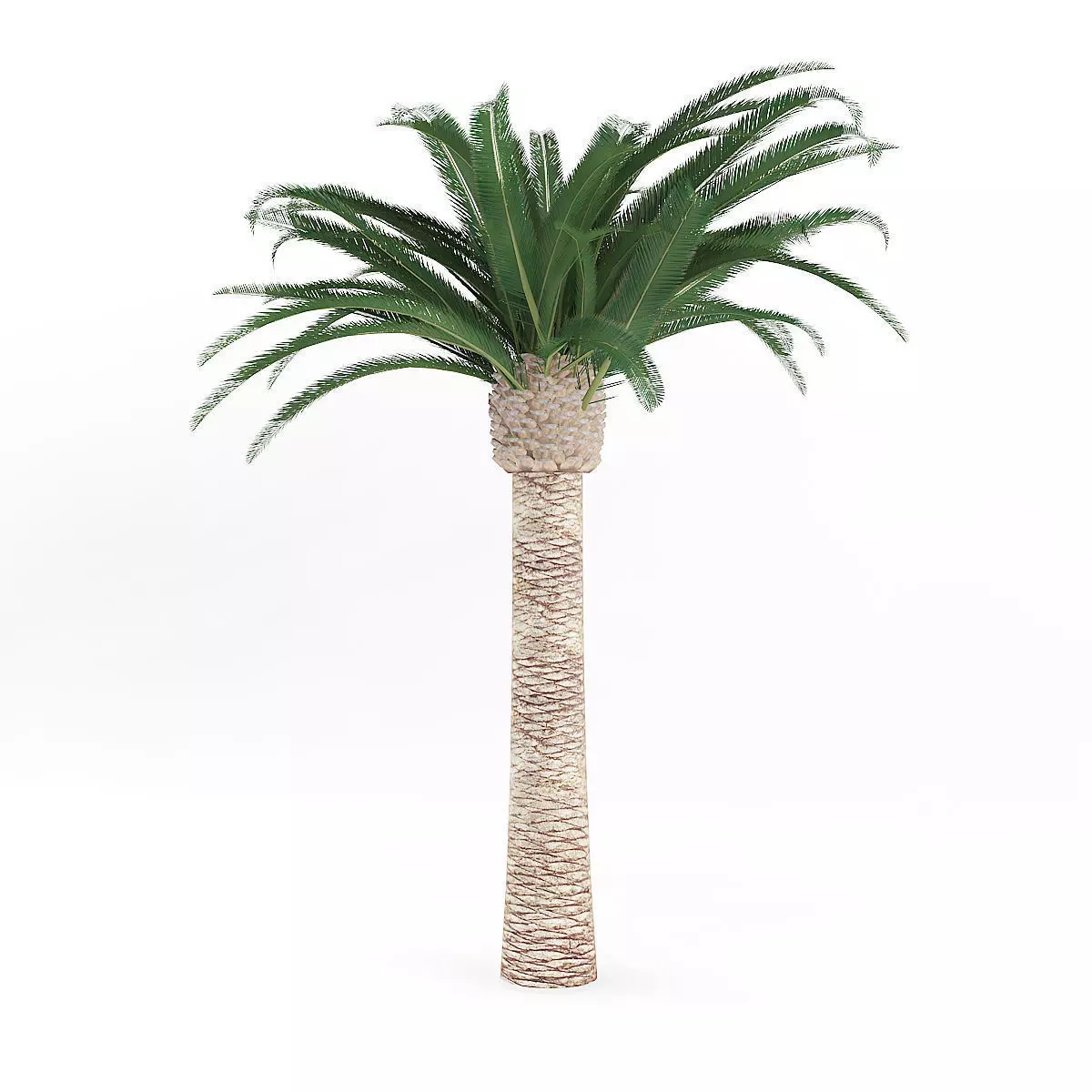 Pineapple Palm 3D model_0