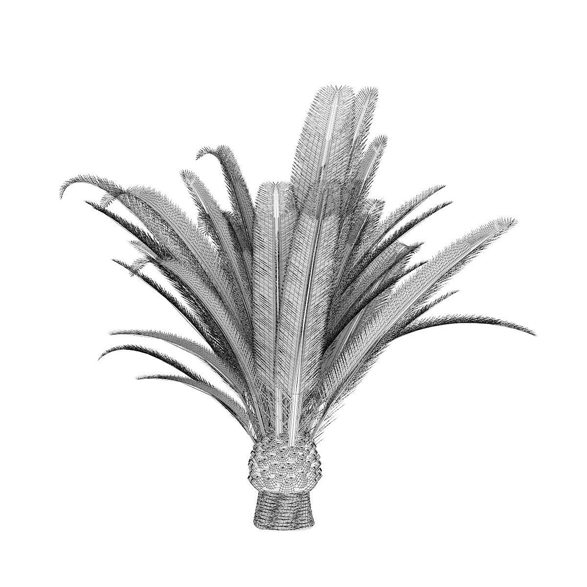 Pineapple Palm 3D model_7