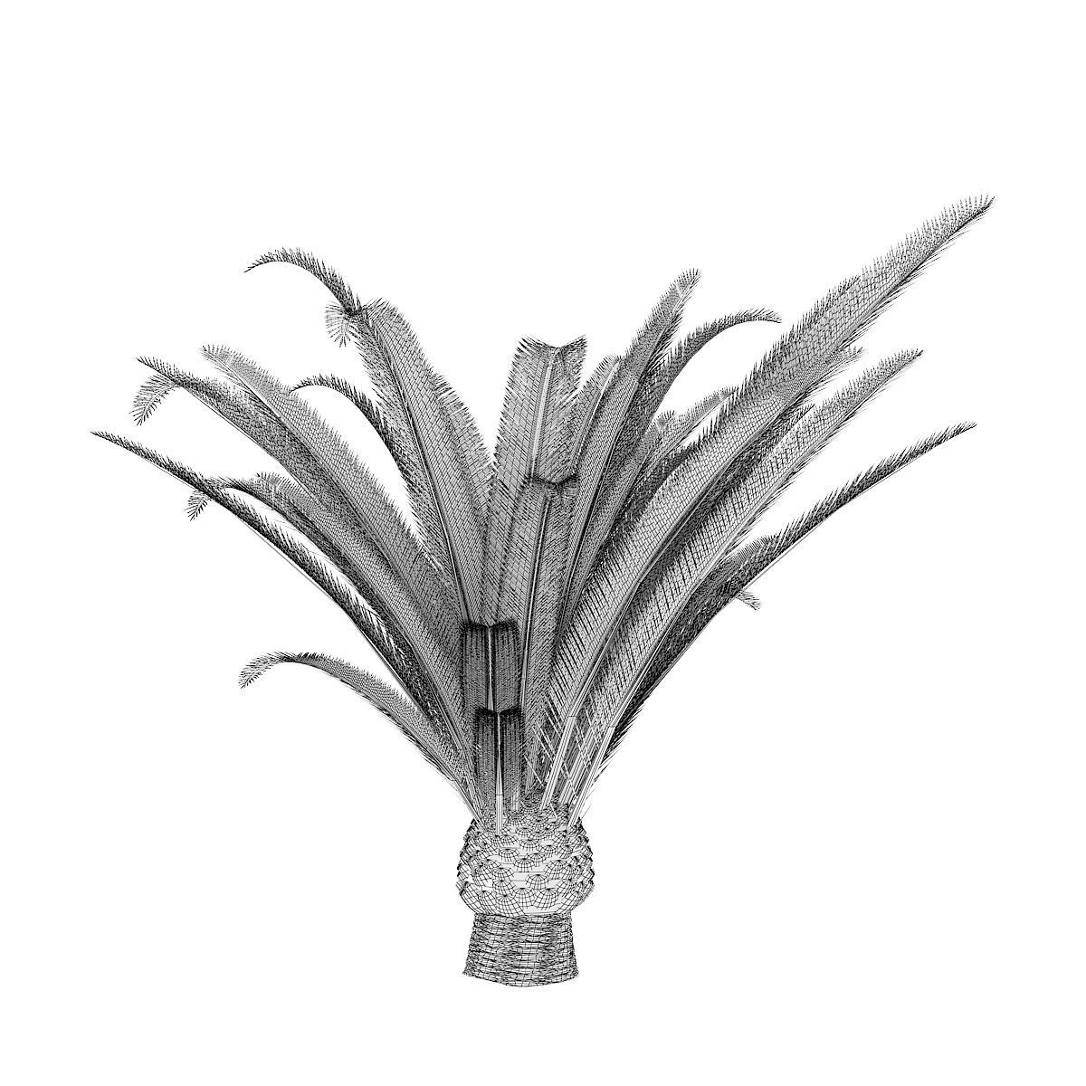 Pineapple Palm 3D model_5