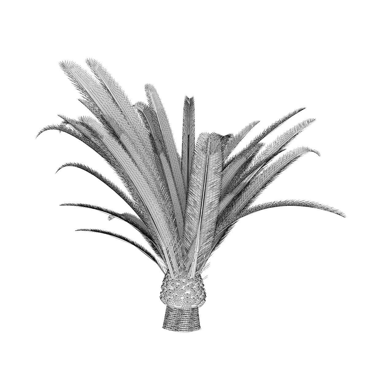 Pineapple Palm 3D model_1
