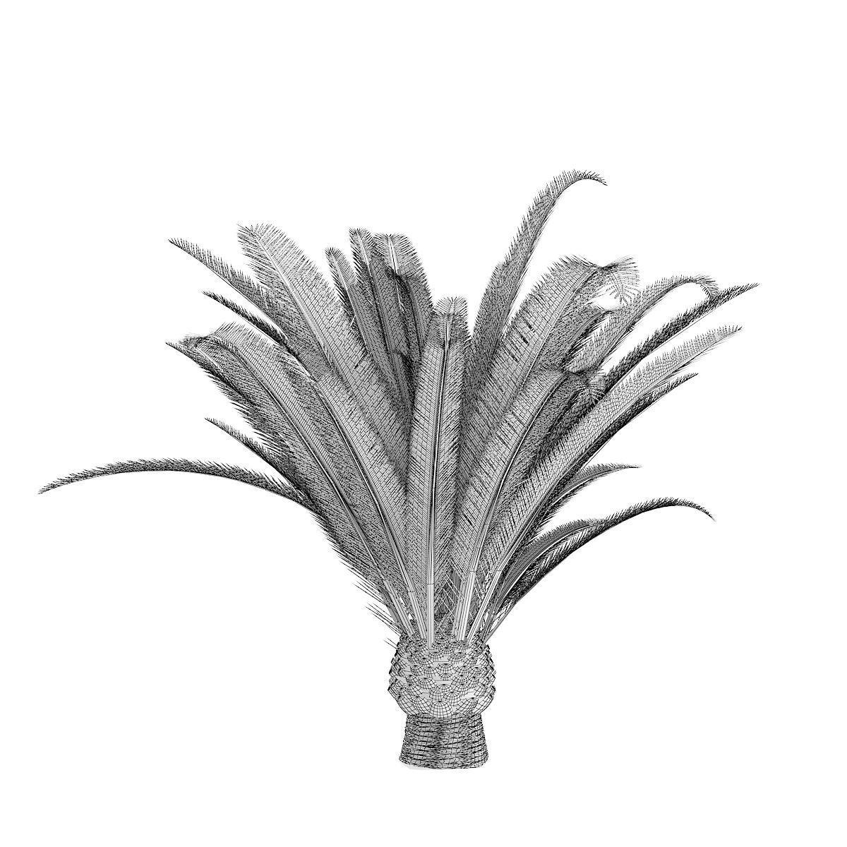 Pineapple Palm 3D model_3