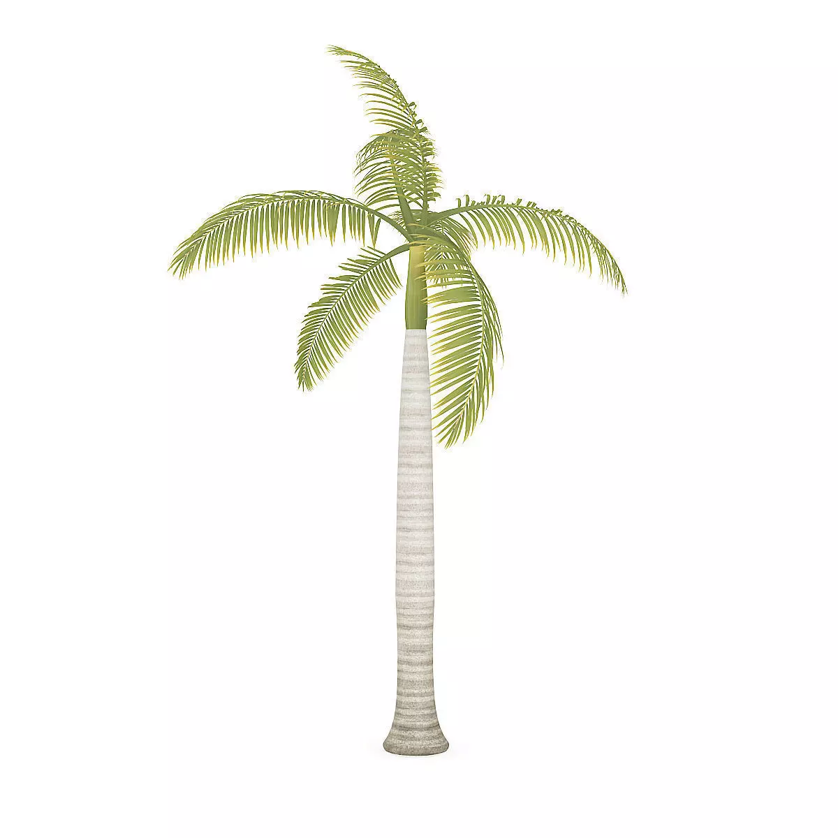 Royal Palm 3D model_0